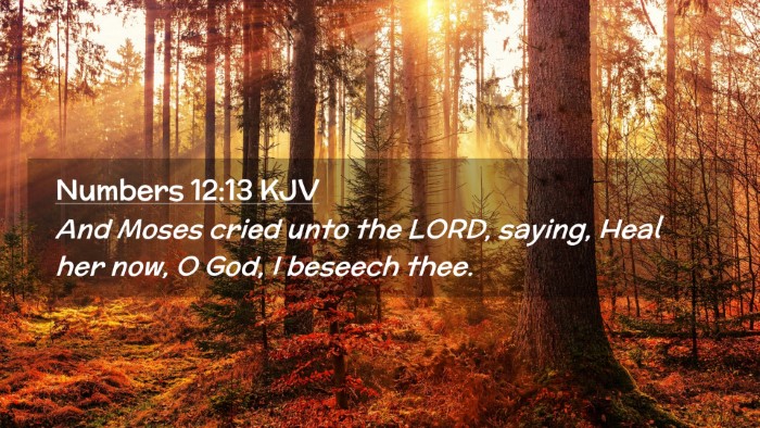Picture 02 - Numbers 12:13 KJV Desktop Wallpaper - And Moses cried unto the LORD, saying, Heal her - Desktop Bible Verse Wallpaper