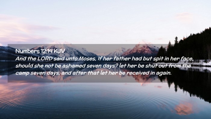 Picture 02 - Numbers 12:14 KJV Desktop Wallpaper - And the LORD said unto Moses, If her father had - Desktop Bible Verse Wallpaper