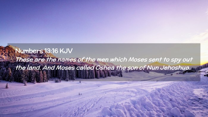 Picture 02 - Numbers 13:16 KJV Desktop Wallpaper - These are the names of the men which Moses sent - Desktop Bible Verse Wallpaper