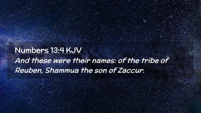 Picture 02 - Numbers 13:4 KJV Desktop Wallpaper - And these were their names: of the tribe of - Desktop Bible Verse Wallpaper