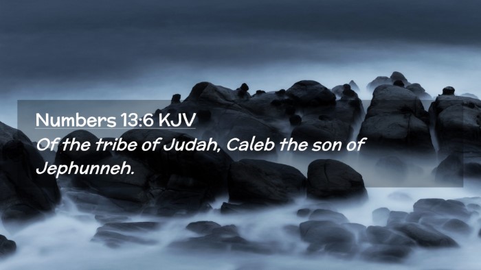 Picture 02 - Numbers 13:6 KJV Desktop Wallpaper - Of the tribe of Judah, Caleb the son of - Desktop Bible Verse Wallpaper