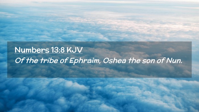 Picture 02 - Numbers 13:8 KJV Desktop Wallpaper - Of the tribe of Ephraim, Oshea the son of - Desktop Bible Verse Wallpaper