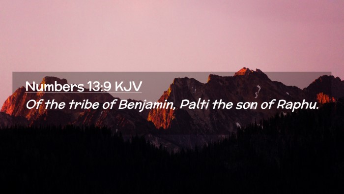 Picture 02 - Numbers 13:9 KJV Desktop Wallpaper - Of the tribe of Benjamin, Palti the son of - Desktop Bible Verse Wallpaper