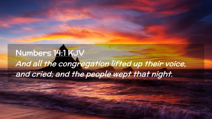 Picture 02 - Numbers 14:1 KJV Desktop Wallpaper - And all the congregation lifted up their voice, - Desktop Bible Verse Wallpaper