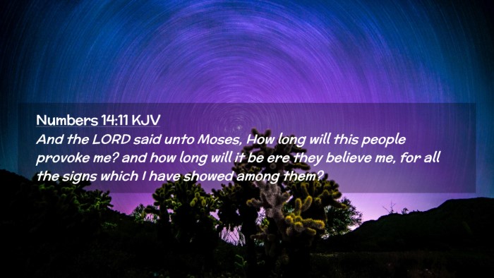 Picture 02 - Numbers 14:11 KJV Desktop Wallpaper - And the LORD said unto Moses, How long will this - Desktop Bible Verse Wallpaper