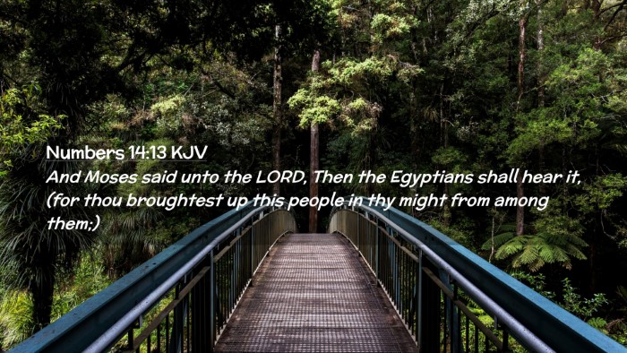 Picture 02 - Numbers 14:13 KJV Desktop Wallpaper - And Moses said unto the LORD, Then the Egyptians - Desktop Bible Verse Wallpaper