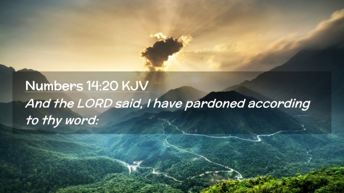 Picture 02 - Numbers 14:20 KJV Desktop Wallpaper - And the LORD said, I have pardoned according to - Desktop Bible Verse Wallpaper