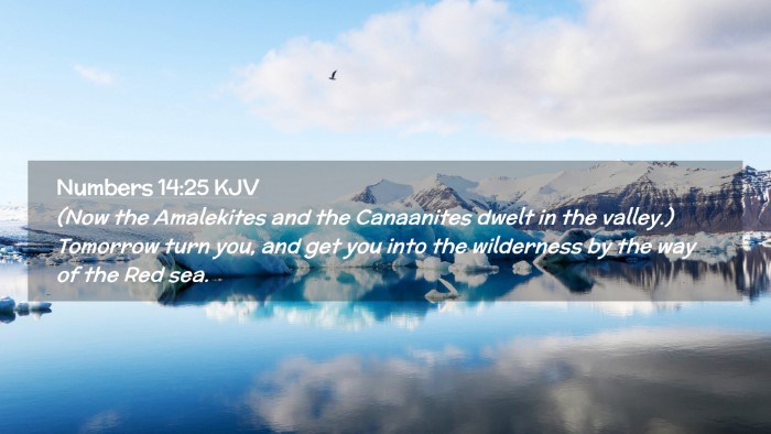 Picture 02 - Numbers 14:25 KJV Desktop Wallpaper - (Now the Amalekites and the Canaanites dwelt in - Desktop Bible Verse Wallpaper