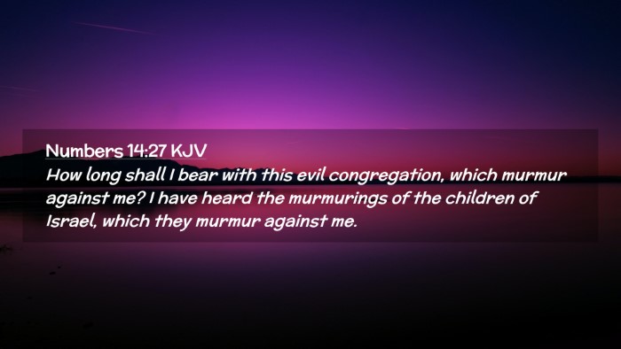 Picture 02 - Numbers 14:27 KJV Desktop Wallpaper - How long shall I bear with this evil - Desktop Bible Verse Wallpaper