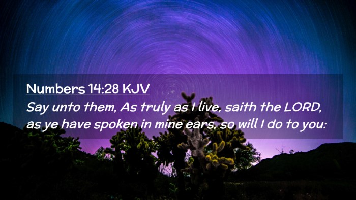 Picture 02 - Numbers 14:28 KJV Desktop Wallpaper - Say unto them, As truly as I live, saith the - Desktop Bible Verse Wallpaper