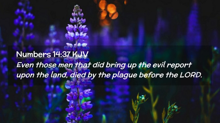 Picture 02 - Numbers 14:37 KJV Desktop Wallpaper - Even those men that did bring up the evil report - Desktop Bible Verse Wallpaper