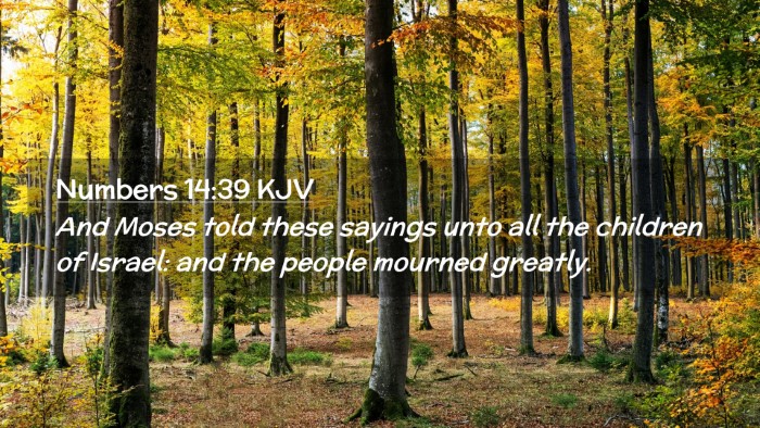 Picture 02 - Numbers 14:39 KJV Desktop Wallpaper - And Moses told these sayings unto all the - Desktop Bible Verse Wallpaper