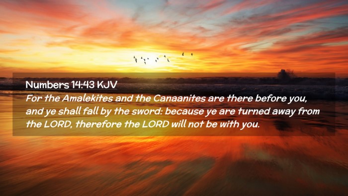 Picture 02 - Numbers 14:43 KJV Desktop Wallpaper - For the Amalekites and the Canaanites are there - Desktop Bible Verse Wallpaper