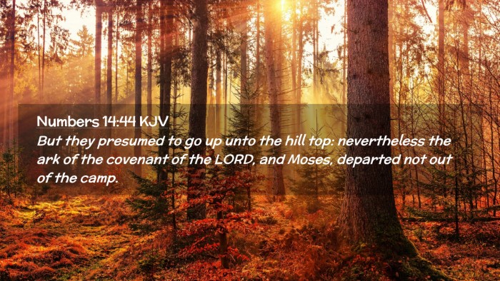 Picture 02 - Numbers 14:44 KJV Desktop Wallpaper - But they presumed to go up unto the hill top: - Desktop Bible Verse Wallpaper