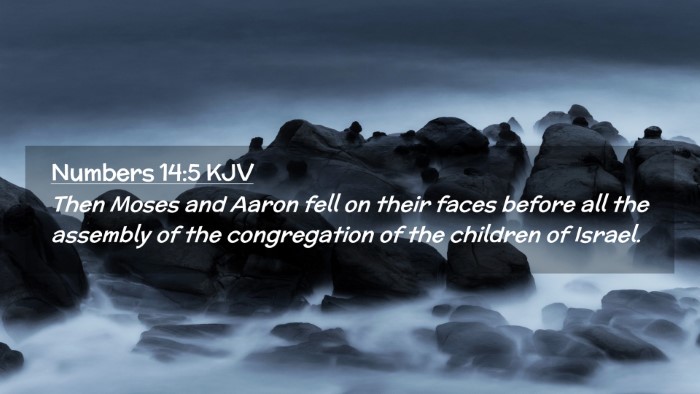 Picture 02 - Numbers 14:5 KJV Desktop Wallpaper - Then Moses and Aaron fell on their faces before - Desktop Bible Verse Wallpaper