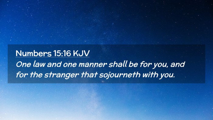Picture 02 - Numbers 15:16 KJV Desktop Wallpaper - One law and one manner shall be for you, and for - Desktop Bible Verse Wallpaper