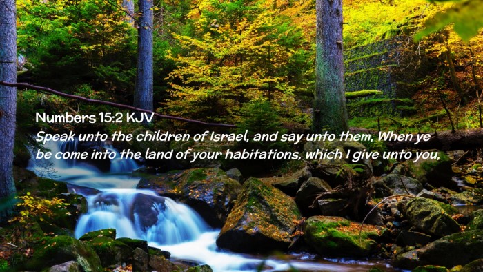 Picture 02 - Numbers 15:2 KJV Desktop Wallpaper - Speak unto the children of Israel, and say unto - Desktop Bible Verse Wallpaper