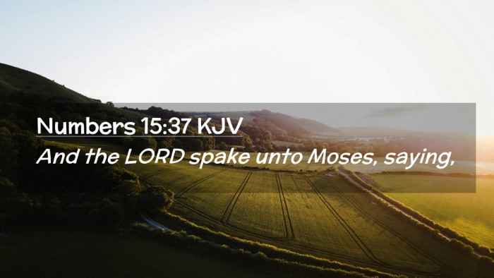 Picture 02 - Numbers 15:37 KJV Desktop Wallpaper - And the LORD spake unto Moses, - Desktop Bible Verse Wallpaper