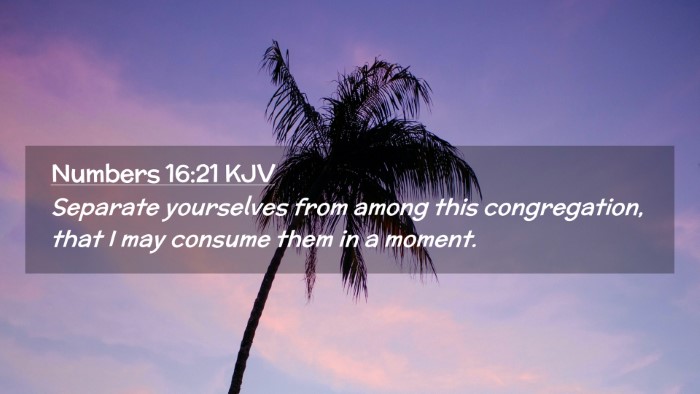 Picture 02 - Numbers 16:21 KJV Desktop Wallpaper - Separate yourselves from among this congregation, - Desktop Bible Verse Wallpaper