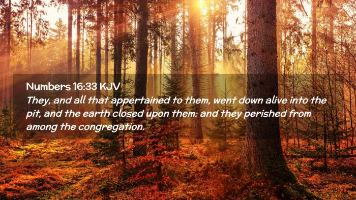Picture 02 - Numbers 16:33 KJV Desktop Wallpaper - They, and all that appertained to them, went down - Desktop Bible Verse Wallpaper