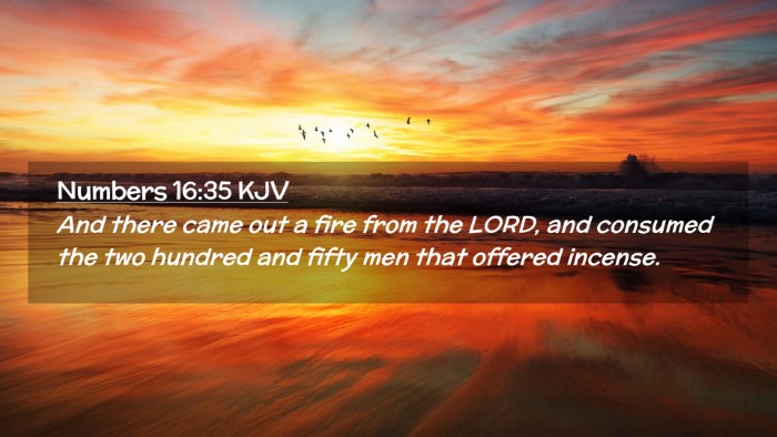 Picture 02 - Numbers 16:35 KJV Desktop Wallpaper - And there came out a fire from the LORD, and - Desktop Bible Verse Wallpaper