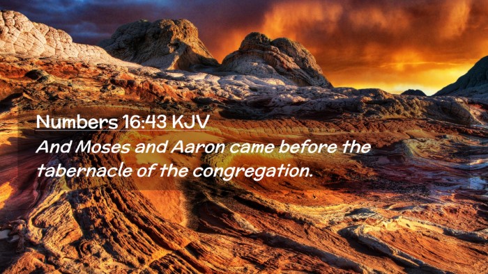 Picture 02 - Numbers 16:43 KJV Desktop Wallpaper - And Moses and Aaron came before the tabernacle of - Desktop Bible Verse Wallpaper