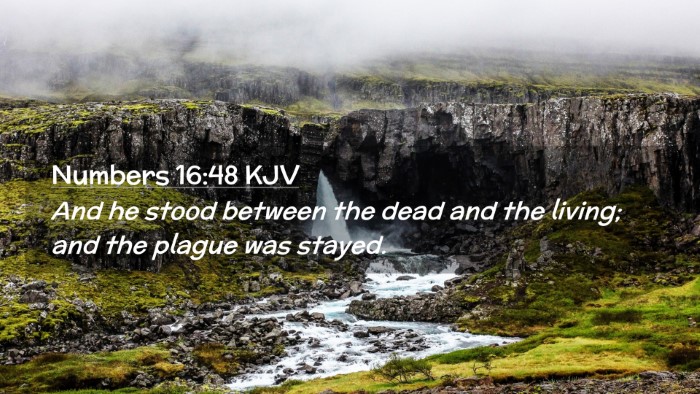 Picture 02 - Numbers 16:48 KJV Desktop Wallpaper - And he stood between the dead and the living; and - Desktop Bible Verse Wallpaper