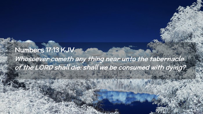 Picture 02 - Numbers 17:13 KJV Desktop Wallpaper - Whosoever cometh any thing near unto the - Desktop Bible Verse Wallpaper