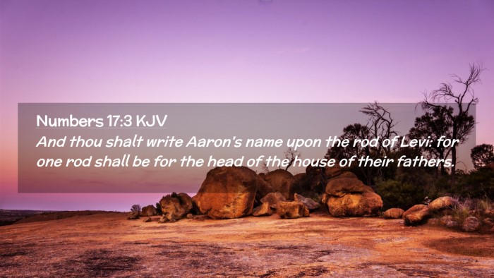 Picture 02 - Numbers 17:3 KJV Desktop Wallpaper - And thou shalt write Aaron's name upon the rod of - Desktop Bible Verse Wallpaper