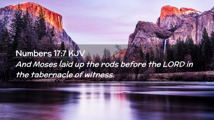 Picture 02 - Numbers 17:7 KJV Desktop Wallpaper - And Moses laid up the rods before the LORD in the - Desktop Bible Verse Wallpaper