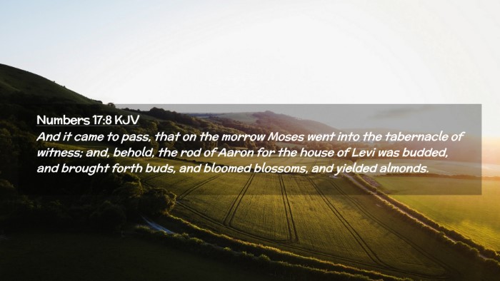 Picture 02 - Numbers 17:8 KJV Desktop Wallpaper - And it came to pass, that on the morrow Moses - Desktop Bible Verse Wallpaper