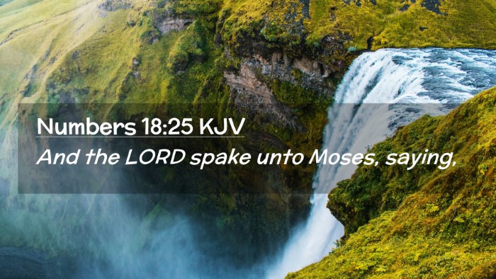 Picture 02 - Numbers 18:25 KJV Desktop Wallpaper - And the LORD spake unto Moses, - Desktop Bible Verse Wallpaper