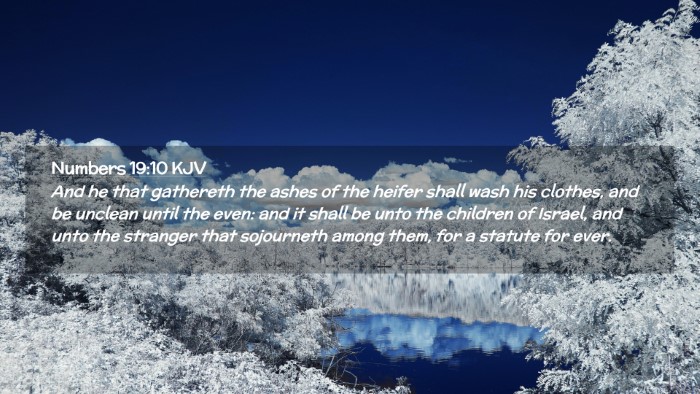 Picture 02 - Numbers 19:10 KJV Desktop Wallpaper - And he that gathereth the ashes of the heifer - Desktop Bible Verse Wallpaper