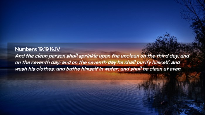 Picture 02 - Numbers 19:19 KJV Desktop Wallpaper - And the clean person shall sprinkle upon the - Desktop Bible Verse Wallpaper