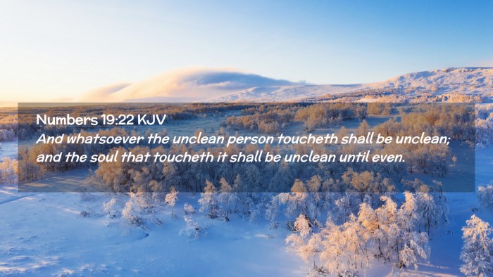 Picture 02 - Numbers 19:22 KJV Desktop Wallpaper - And whatsoever the unclean person toucheth shall - Desktop Bible Verse Wallpaper