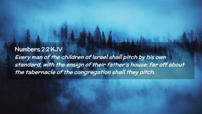Picture 02 - Numbers 2:2 KJV Desktop Wallpaper - Every man of the children of Israel shall pitch - Desktop Bible Verse Wallpaper