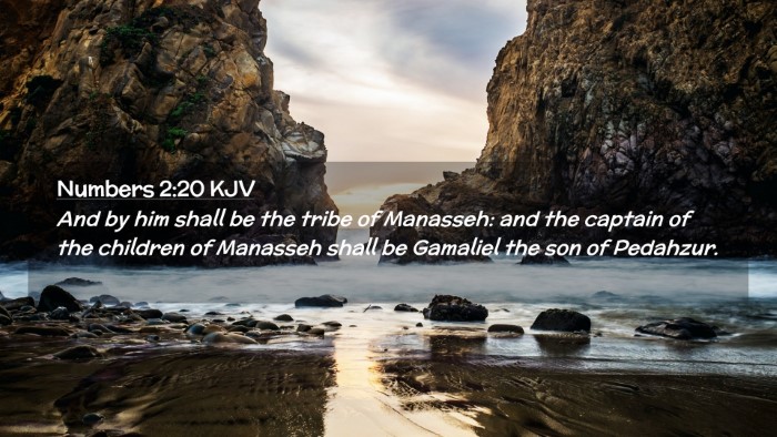 Picture 02 - Numbers 2:20 KJV Desktop Wallpaper - And by him shall be the tribe of Manasseh: and - Desktop Bible Verse Wallpaper