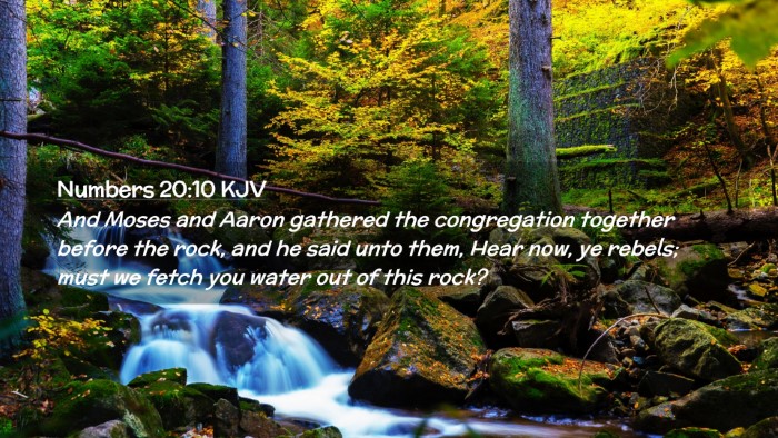 Picture 02 - Numbers 20:10 KJV Desktop Wallpaper - And Moses and Aaron gathered the congregation - Desktop Bible Verse Wallpaper