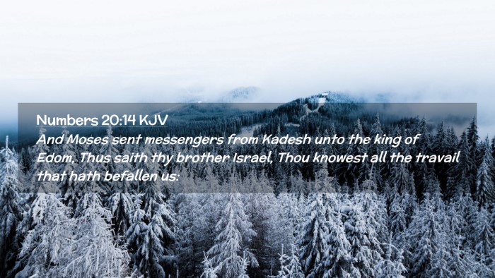 Picture 02 - Numbers 20:14 KJV Desktop Wallpaper - And Moses sent messengers from Kadesh unto the - Desktop Bible Verse Wallpaper