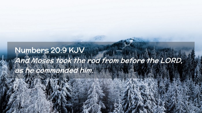 Picture 02 - Numbers 20:9 KJV Desktop Wallpaper - And Moses took the rod from before the LORD, as - Desktop Bible Verse Wallpaper