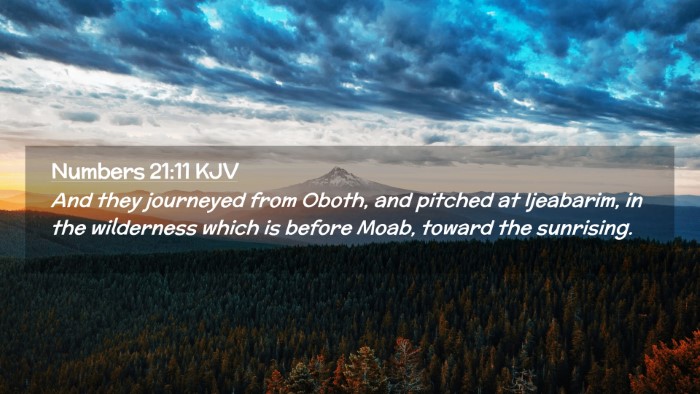 Picture 02 - Numbers 21:11 KJV Desktop Wallpaper - And they journeyed from Oboth, and pitched at - Desktop Bible Verse Wallpaper