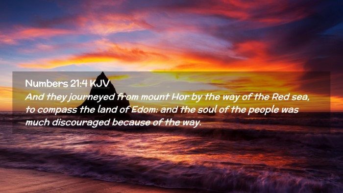 Picture 02 - Numbers 21:4 KJV Desktop Wallpaper - And they journeyed from mount Hor by the way of - Desktop Bible Verse Wallpaper