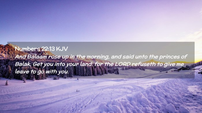 Picture 02 - Numbers 22:13 KJV Desktop Wallpaper - And Balaam rose up in the morning, and said unto - Desktop Bible Verse Wallpaper
