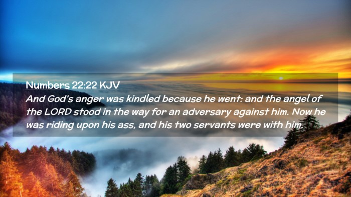 Picture 02 - Numbers 22:22 KJV Desktop Wallpaper - And God's anger was kindled because he went: and - Desktop Bible Verse Wallpaper