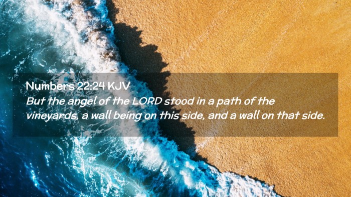 Picture 02 - Numbers 22:24 KJV Desktop Wallpaper - But the angel of the LORD stood in a path of the - Desktop Bible Verse Wallpaper