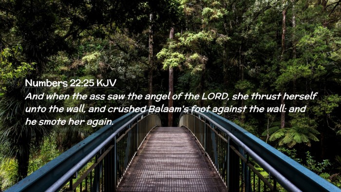 Picture 02 - Numbers 22:25 KJV Desktop Wallpaper - And when the ass saw the angel of the LORD, she - Desktop Bible Verse Wallpaper