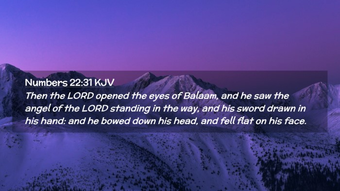 Picture 02 - Numbers 22:31 KJV Desktop Wallpaper - Then the LORD opened the eyes of Balaam, and he - Desktop Bible Verse Wallpaper