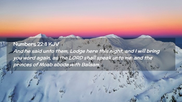Picture 02 - Numbers 22:8 KJV Desktop Wallpaper - And he said unto them, Lodge here this night, and - Desktop Bible Verse Wallpaper