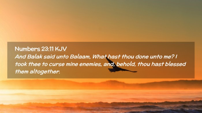 Picture 02 - Numbers 23:11 KJV Desktop Wallpaper - And Balak said unto Balaam, What hast thou done - Desktop Bible Verse Wallpaper