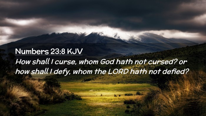 Picture 02 - Numbers 23:8 KJV Desktop Wallpaper - How shall I curse, whom God hath not cursed? or - Desktop Bible Verse Wallpaper